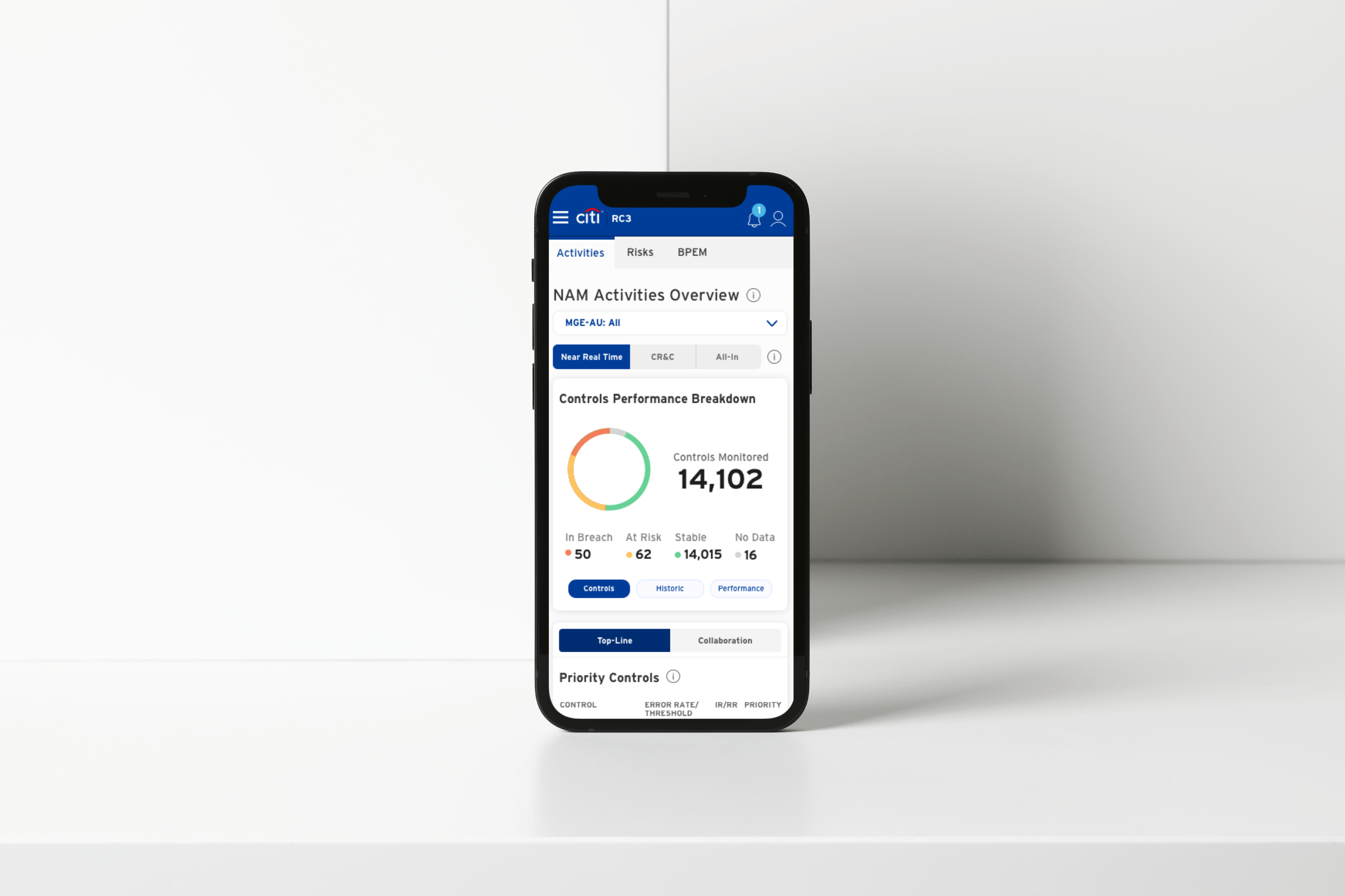 Risk and Controls Dashboard interface mockup